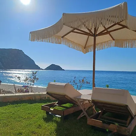 Petani Beachside Вовикес